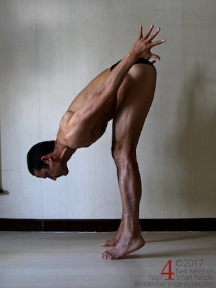 Standing forward bend with heels lifted so that calfs are engaged. Hands are off of the floor. Neil Keleher, Sensational Yoga Poses.