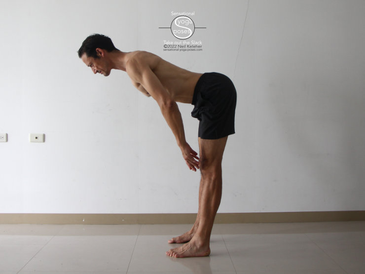 yoga poses for strengthening the back of the body, standing forward bend