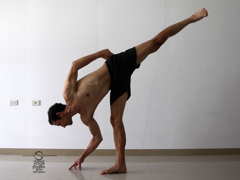 Half moon pose with hand on the floor. To stretch the hamstring of the standing leg, work at bringing your torso towards that leg.  Neil Keleher, Sensational Yoga Poses.