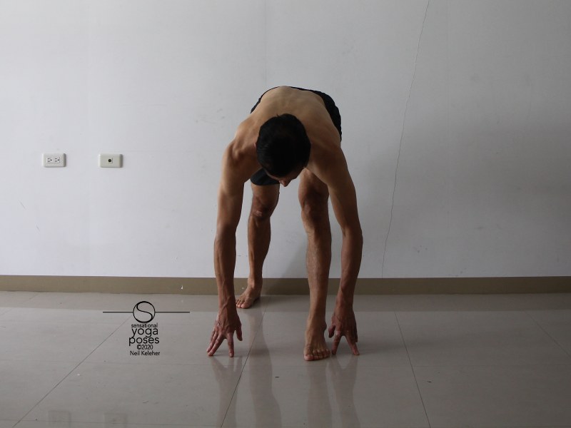 Pyramid pose hamstring stretch with hands on floor, view from front. Neil Keleher, Sensational Yoga Poses.