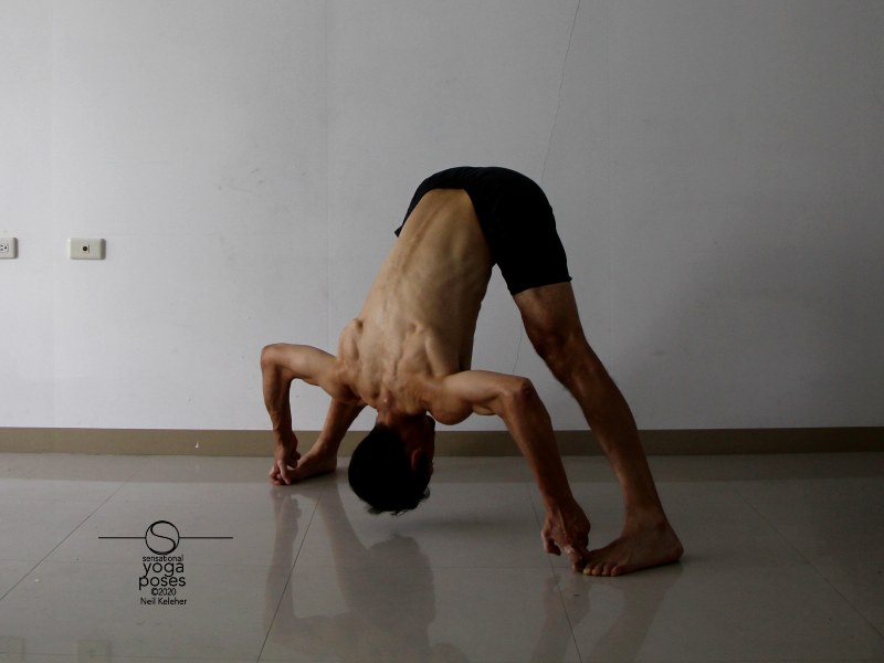 Prasaritta padotanasana A, wide leg standing forward bend with hands on floor and elbows straight. Neil Keleher, Sensational Yoga Poses.