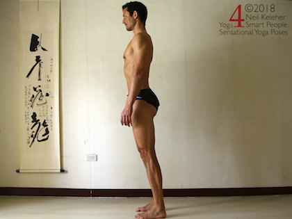 Forward backaward weight shifting to adjust hips, weight towards forefeet. Neil Keleher. Sensational Yoga Poses.