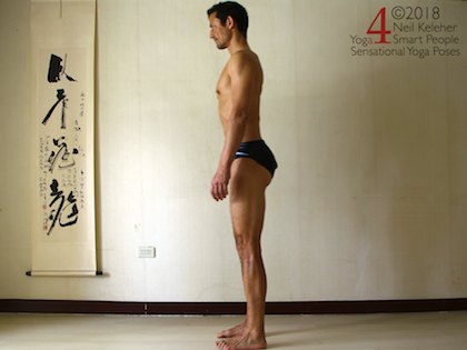 Forward backaward weight shifting to adjust hips, weight towards heels. Neil Keleher. Sensational Yoga Poses.