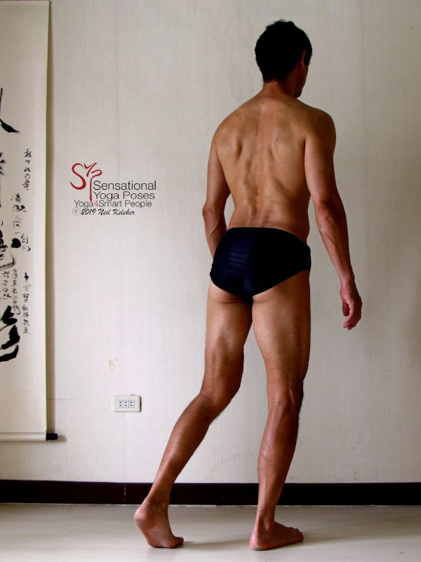 Standing Hip Extension, pelvis tilted forwards. Neil Keleher, Sensational Yoga Poses.