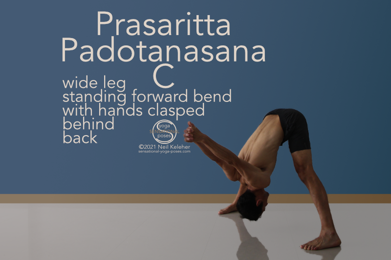 Wide-Legged Forward Bend Yoga Pose Adjustments- Prasarita Padottanasana -  Drishti Online Yoga Teacher Training | USA | Canada | UK | Germany