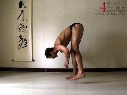 Standing forward bend on one foot with elbows bent to lift hands Neil Keleher. Sensational Yoga Poses.