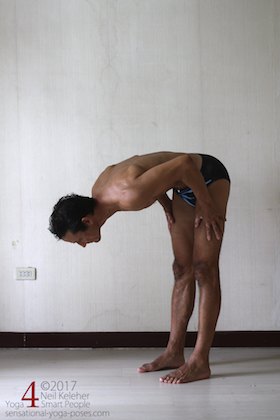 Surya namaskar steps, bending forwards fully (as far as you can bend forwards).  Neil Keleher. Sensational Yoga Poses.