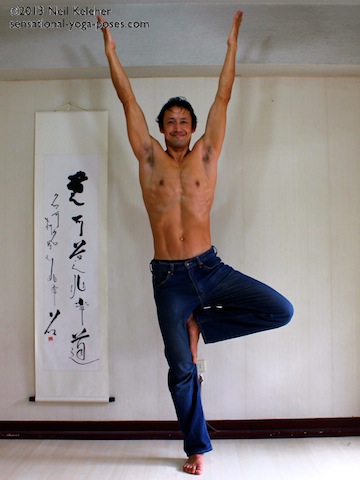 beginners yoga poses, beginners yoga workout, sensational yoga poses, basic yoga poses, tree pose
