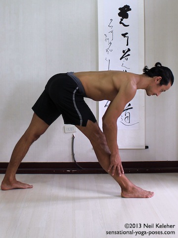 triangle forward fold with hands on leg, hamstring stretches, yoga for flexiblity, forward bending yoga poses, hamstring stretching yoga poses