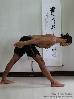 triangle forward fold with hands reaching backwards, hamstring stretches, yoga for flexiblity, forward bending yoga poses, hamstring stretching yoga poses