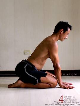 januhastasan, a kneeling posture with hands on the floor in front of the knees with spine bent backwards. This pose shows a prepatory position with hands on the floor but spine straight. Neil Keleher. Sensational yoga poses.