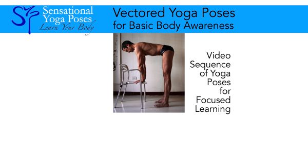 Vectored Yoga Poses ebook, Neil Keleher. Sensational Yoga Poses.