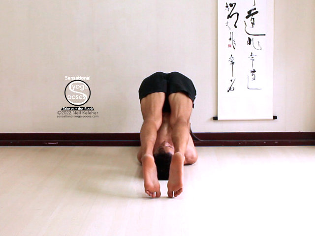 Plough Pose , Neil Keleher, Sensational yoga poses