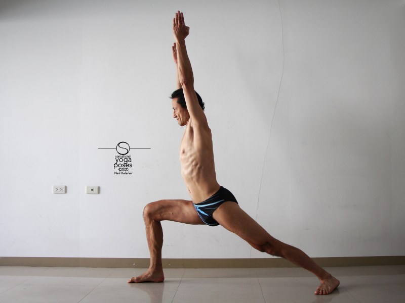 Note that to stretch the sartorius, you can sink the hips even as you reach yoru arms and fronts of the ribs up. here again, the abs, particularly the external obliques, can be used to pull upwards on the ASICs. Neil Keleher, Sensational Yoga Poses.