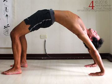 urdhvra dhanurasana, wheel pose