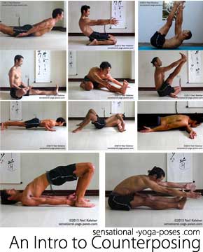 locust pose counterposed with bent back hero or dead dog yoga pose, lotus pose counterposed by half hero or compass prep yoga pose, chaturanga counterposed with lapasana, lapasana counterposed with half dragonfly shoulder stretch, bridge pose counterposed with seated forward bend