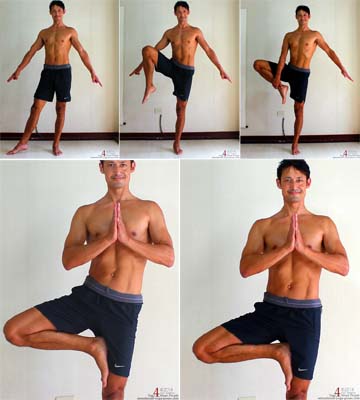 4 Challenging Yoga Tree Pose (Vksasana) Variations for Better Balance